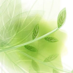 Meet your Posher, Dominique